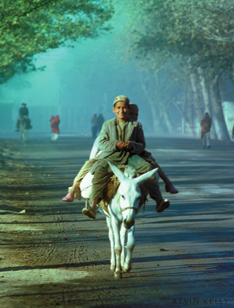 donkey-riders.jpg
